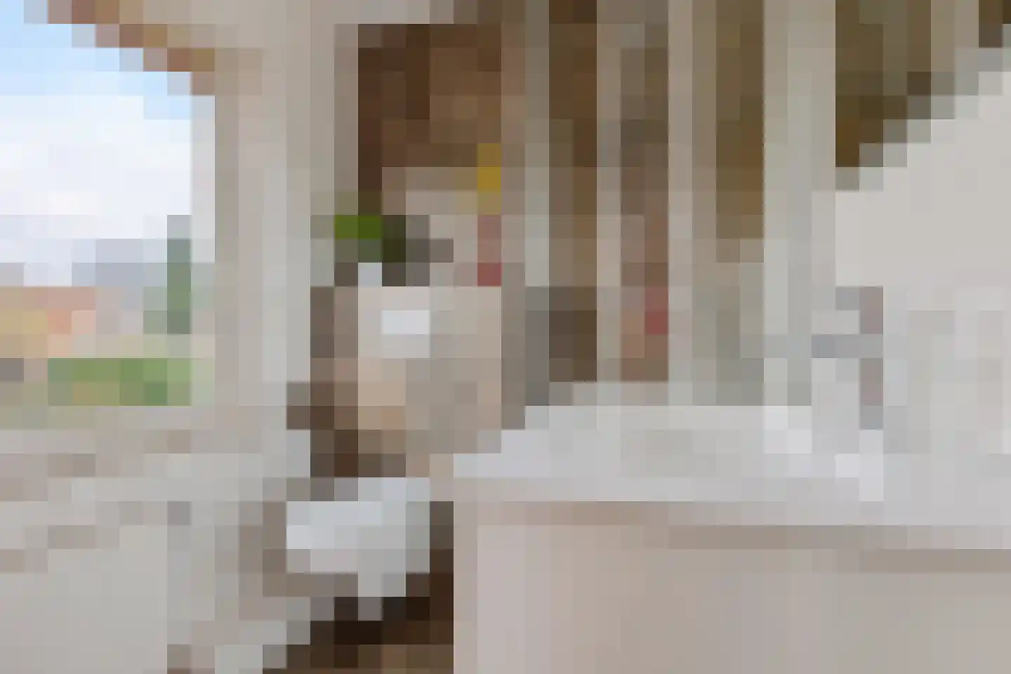 Milrooijseweg 24 Berlicum thumbnail 27