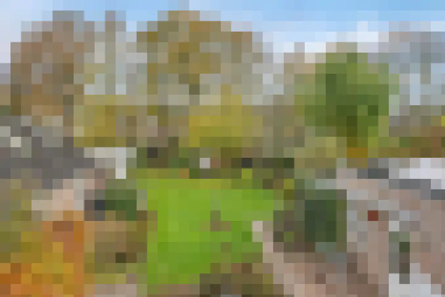 Milrooijseweg 24 Berlicum thumbnail 29