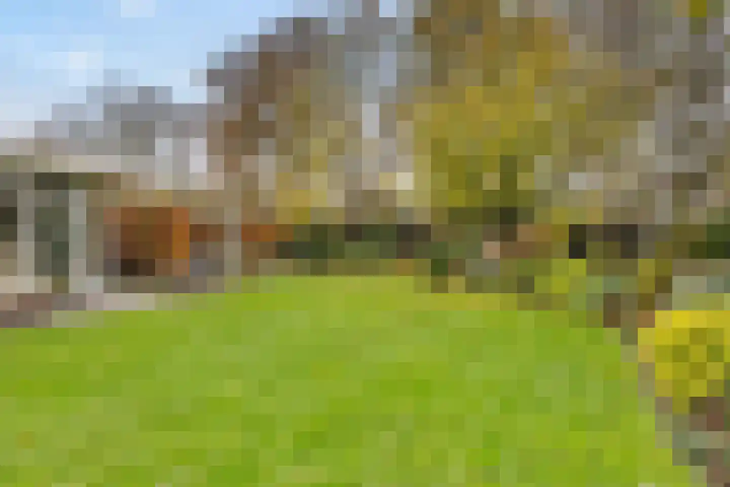 Milrooijseweg 24 Berlicum thumbnail 34
