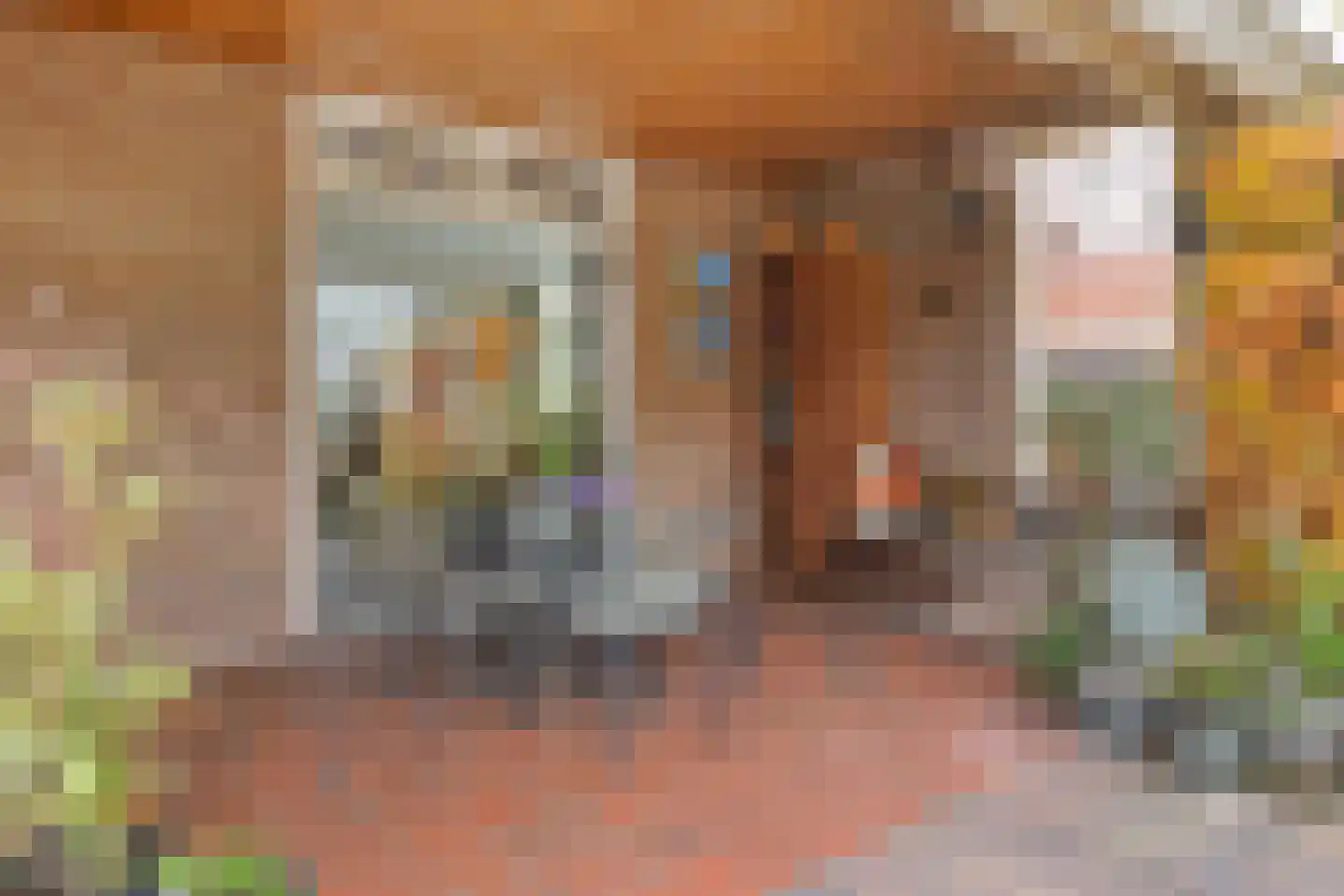 Milrooijseweg 24 Berlicum thumbnail 41