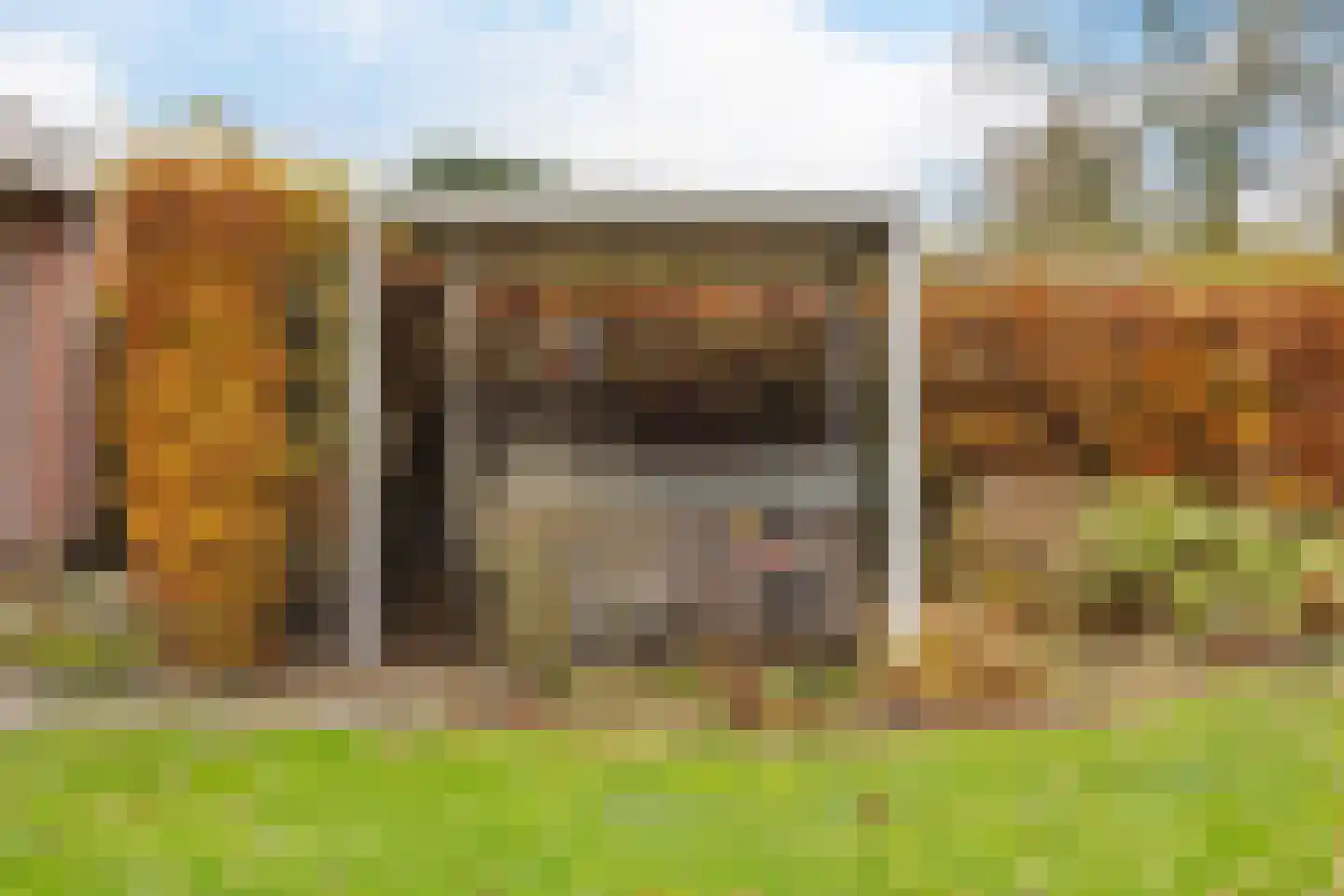 Milrooijseweg 24 Berlicum thumbnail 46