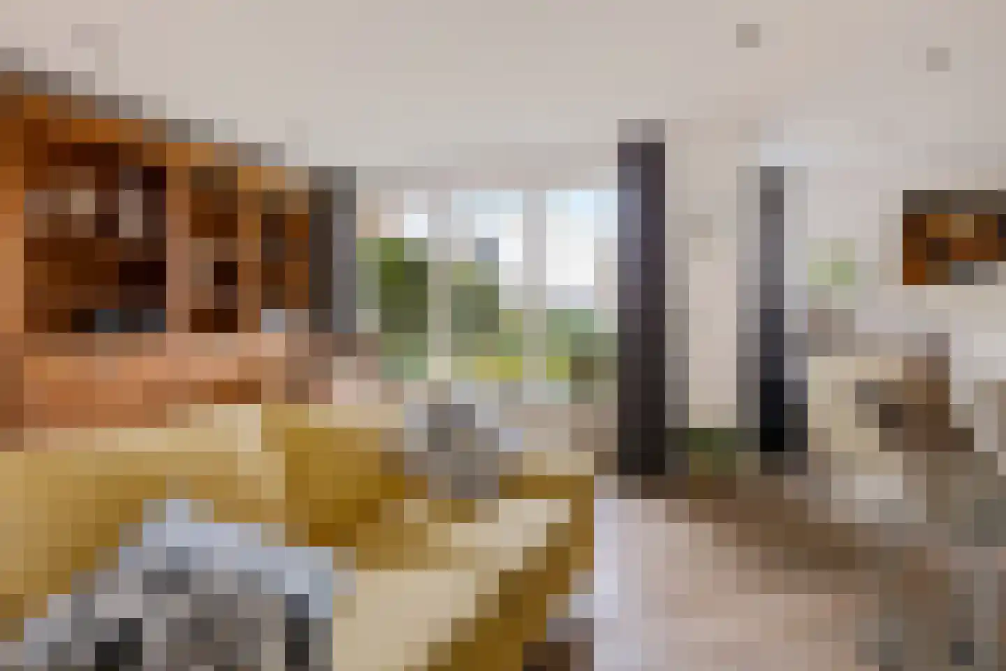 Milrooijseweg 24 Berlicum thumbnail 9