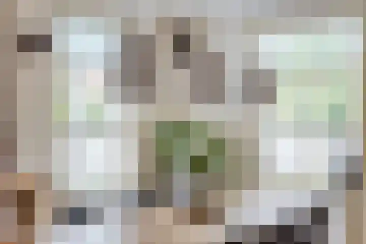 Milrooijseweg 32 Berlicum thumbnail 10