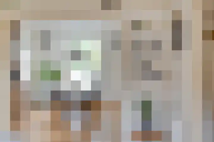 Milrooijseweg 32 Berlicum thumbnail 11