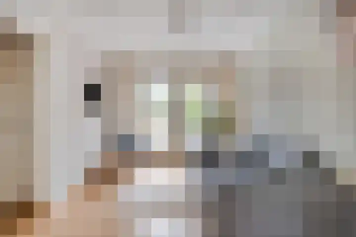 Milrooijseweg 32 Berlicum thumbnail 13