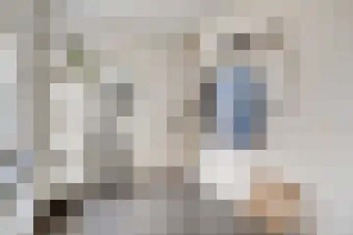 Milrooijseweg 32 Berlicum thumbnail 21