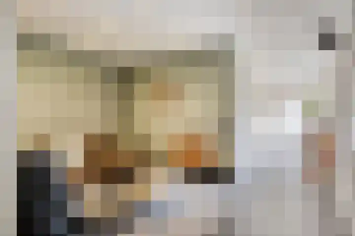 Milrooijseweg 32 Berlicum thumbnail 22