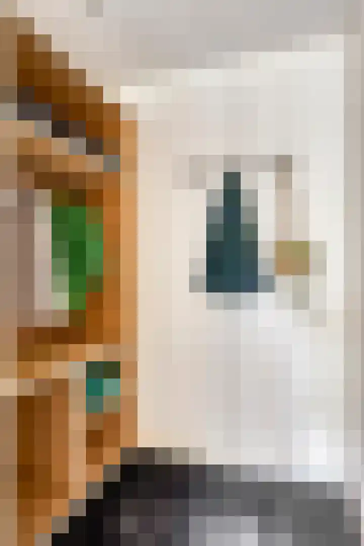 Milrooijseweg 32 Berlicum thumbnail 31