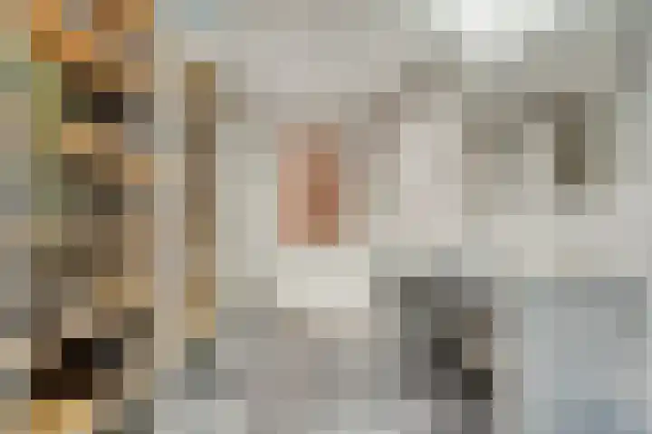Milrooijseweg 32 Berlicum thumbnail 33
