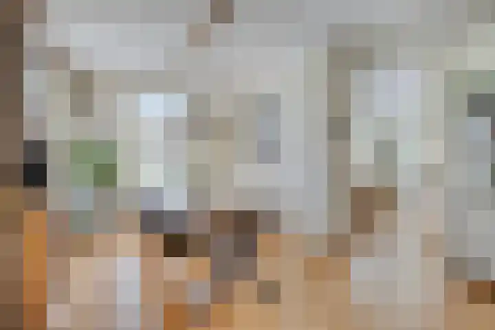Milrooijseweg 32 Berlicum thumbnail 4