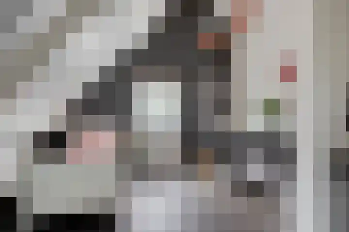 Milrooijseweg 32 Berlicum thumbnail 42