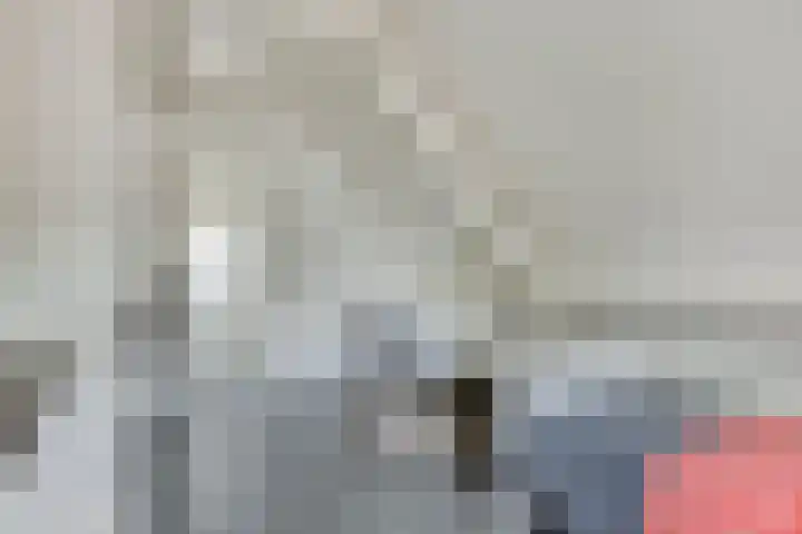 Milrooijseweg 32 Berlicum thumbnail 43