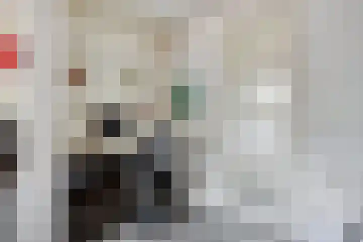 Milrooijseweg 32 Berlicum thumbnail 44