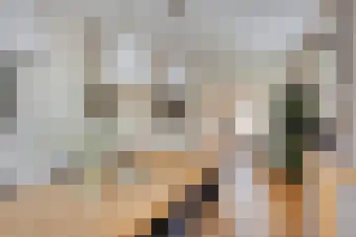 Milrooijseweg 32 Berlicum thumbnail 5