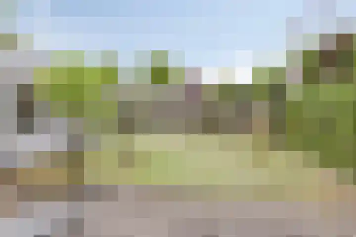 Milrooijseweg 32 Berlicum thumbnail 50