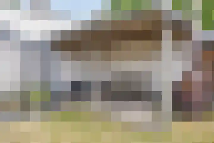 Milrooijseweg 32 Berlicum thumbnail 55
