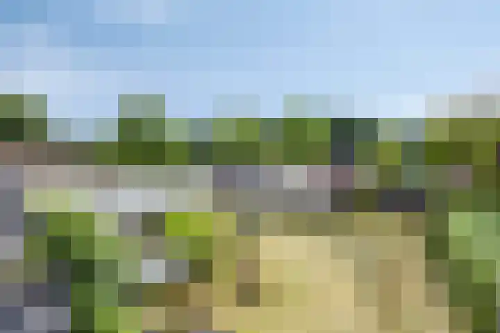 Milrooijseweg 32 Berlicum thumbnail 57