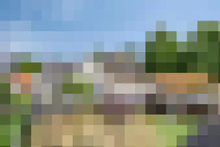 Milrooijseweg 32 Berlicum thumbnail 58