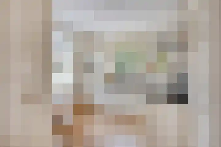Milrooijseweg 32 Berlicum thumbnail 6