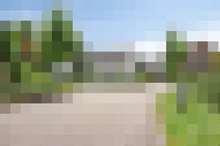 Milrooijseweg 32 Berlicum thumbnail 62