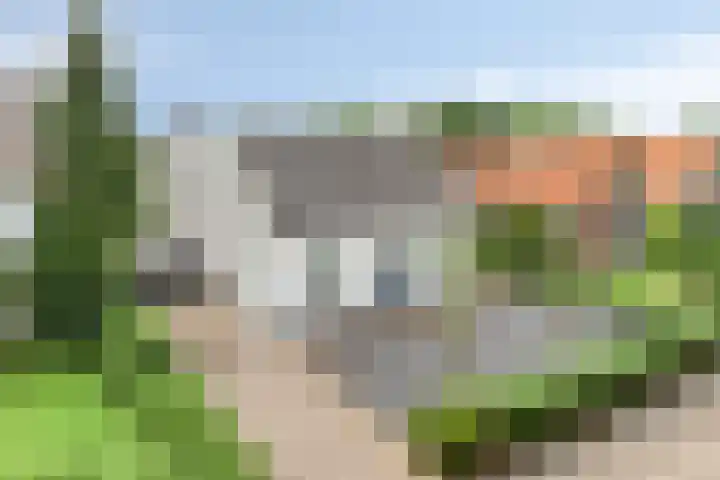 Milrooijseweg 32 Berlicum thumbnail 63