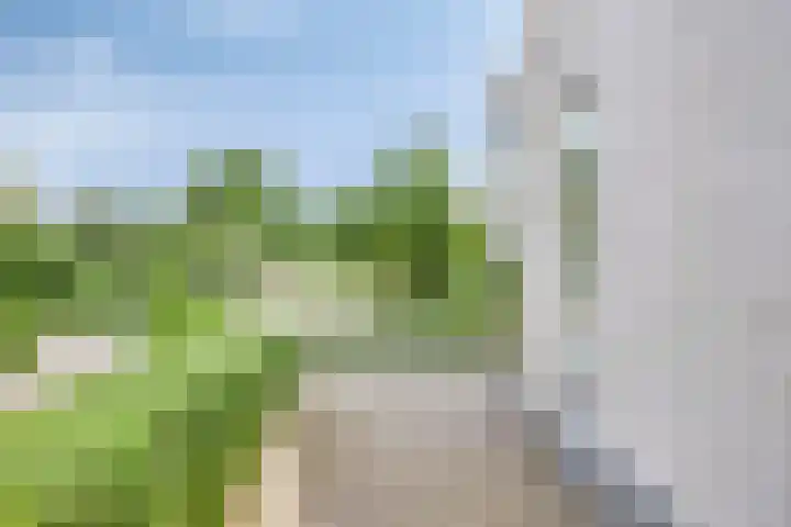 Milrooijseweg 32 Berlicum thumbnail 64