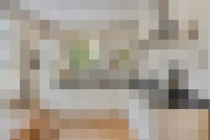 Milrooijseweg 32 Berlicum thumbnail 7