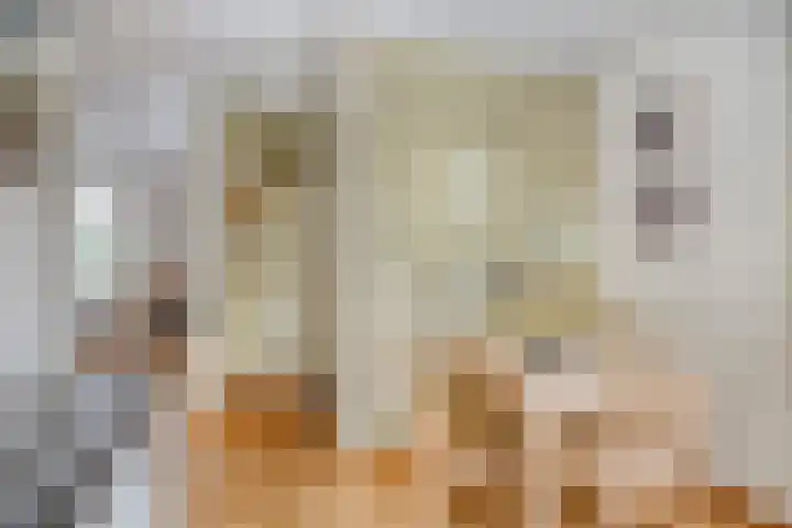 Milrooijseweg 32 Berlicum thumbnail 8