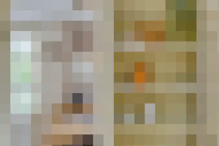 Milrooijseweg 32 Berlicum thumbnail 9