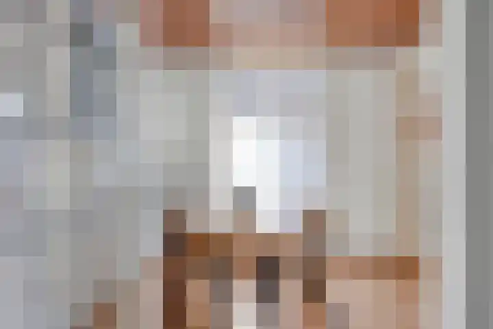 Milrooijseweg 5 Berlicum thumbnail 12