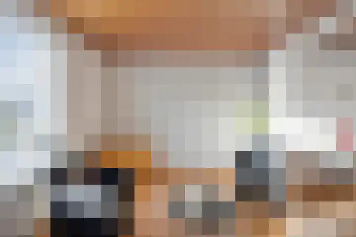 Milrooijseweg 5 Berlicum thumbnail 17
