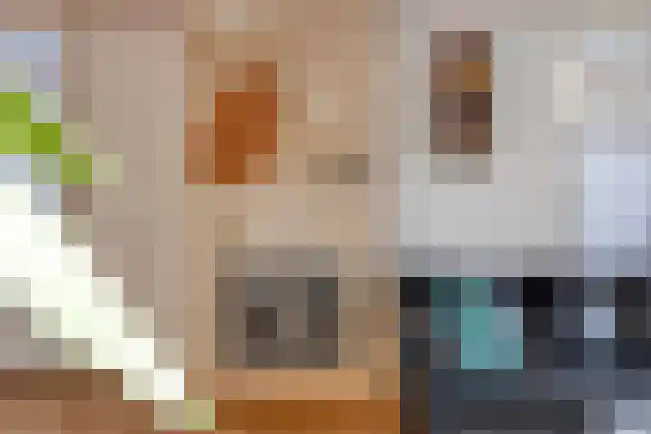 Milrooijseweg 5 Berlicum thumbnail 19