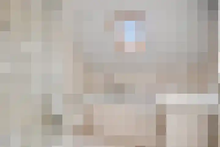 Milrooijseweg 5 Berlicum thumbnail 32