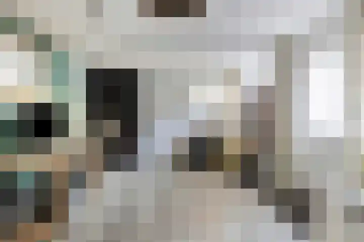 Milrooijseweg 5 Berlicum thumbnail 39