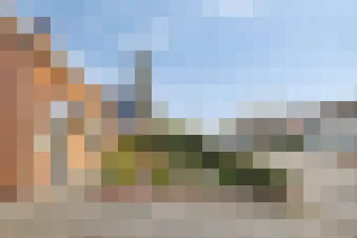 Milrooijseweg 5 Berlicum thumbnail 4