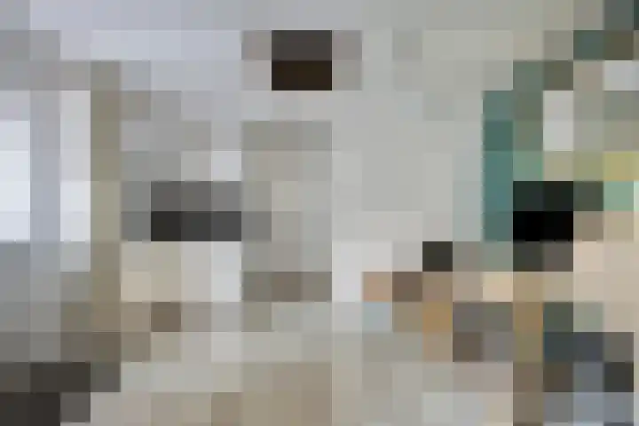 Milrooijseweg 5 Berlicum thumbnail 40