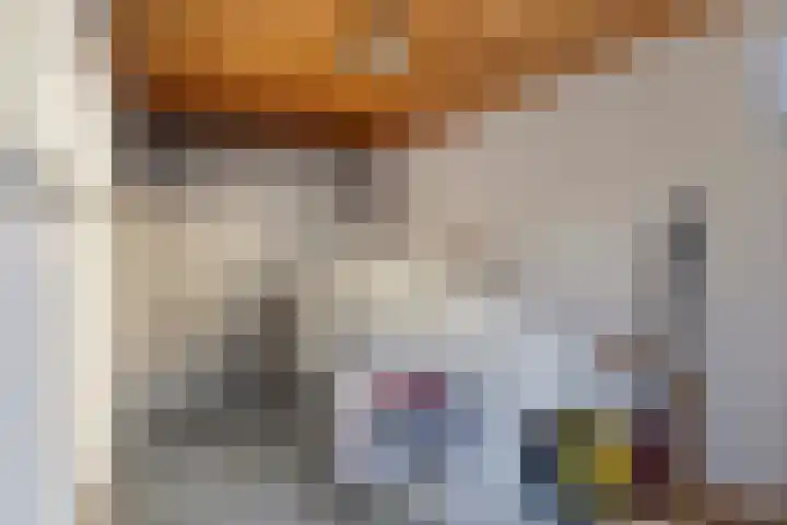 Milrooijseweg 5 Berlicum thumbnail 44