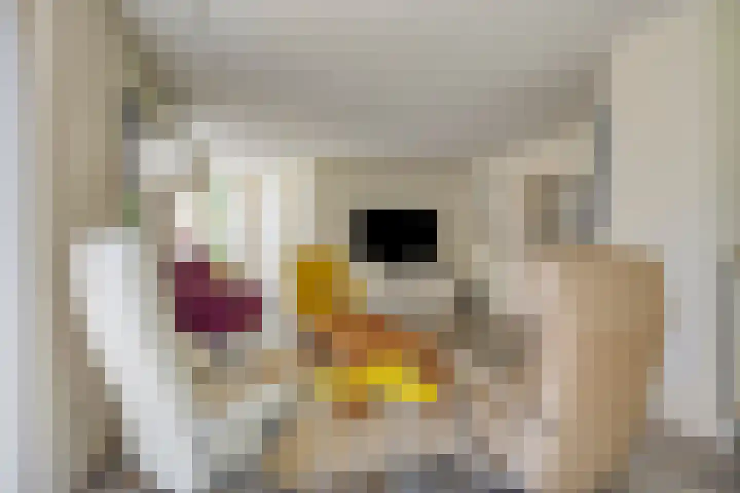 Milrooijseweg 77 Berlicum thumbnail 10