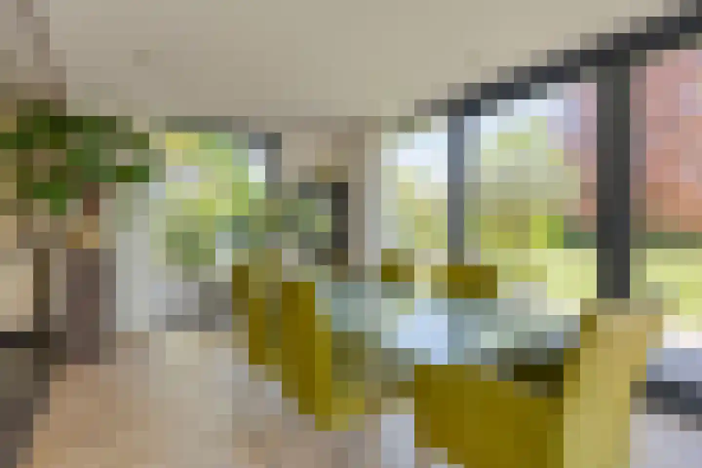 Milrooijseweg 77 Berlicum thumbnail 19