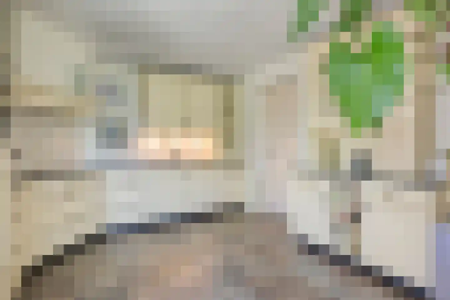 Milrooijseweg 77 Berlicum thumbnail 21