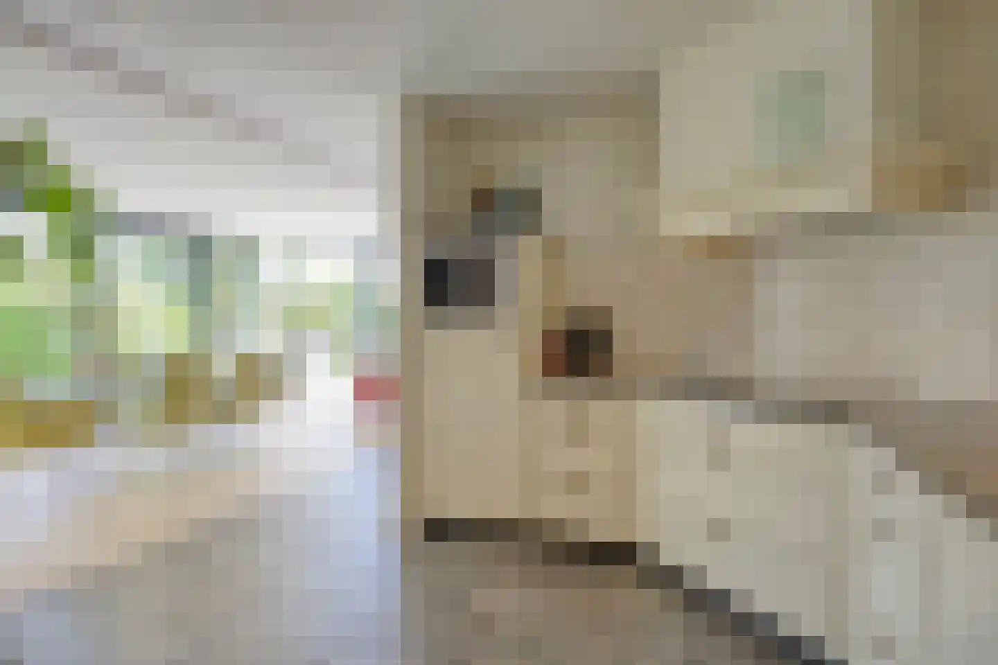 Milrooijseweg 77 Berlicum thumbnail 24