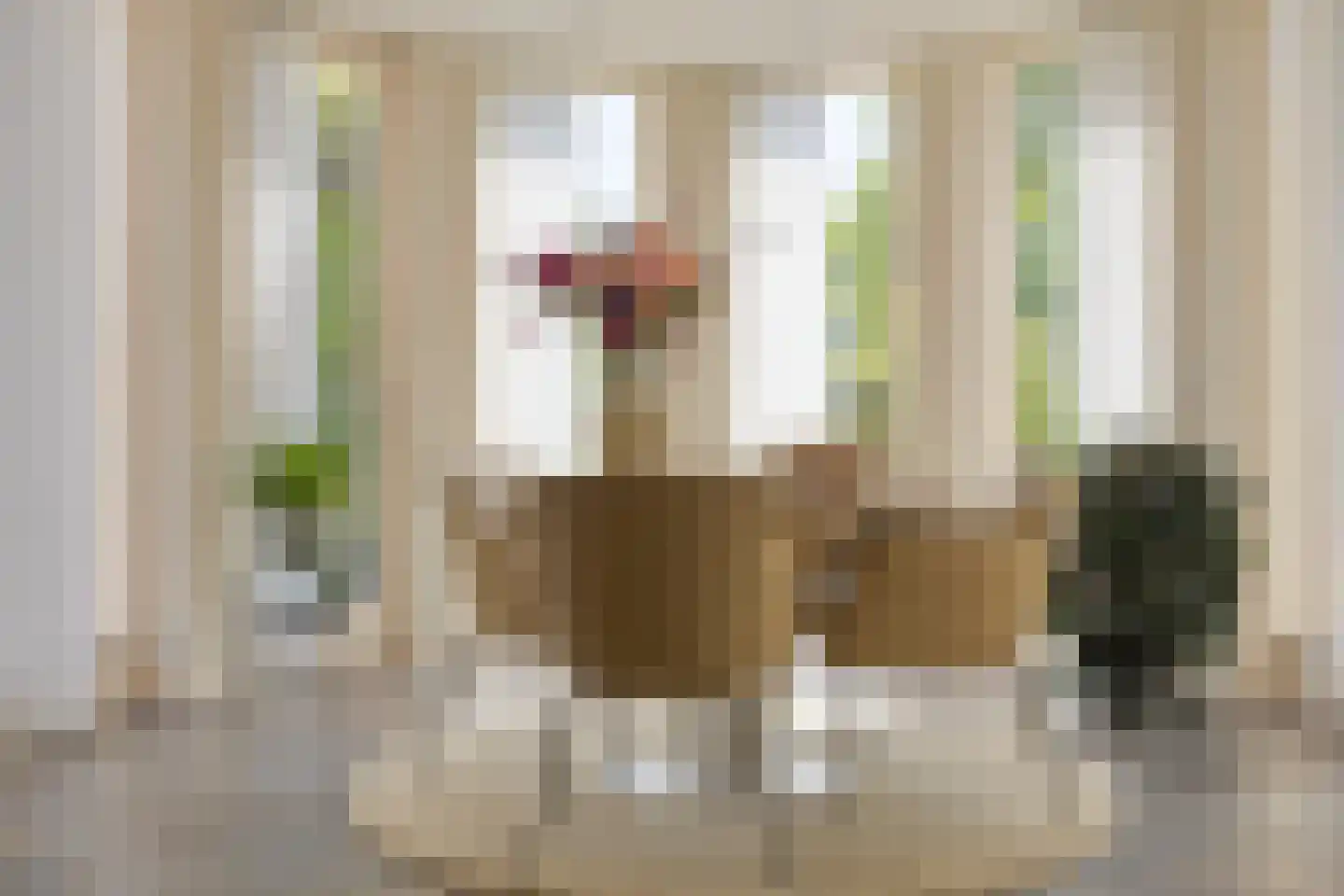 Milrooijseweg 77 Berlicum thumbnail 31