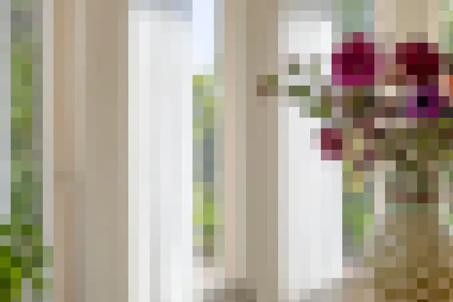 Milrooijseweg 77 Berlicum thumbnail 32