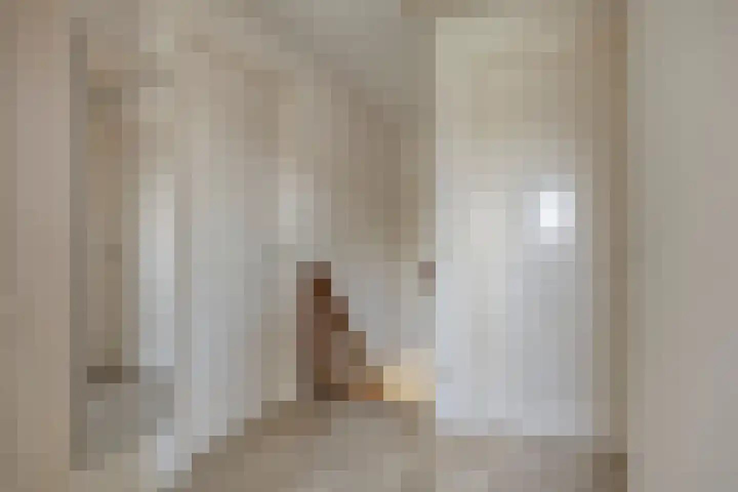 Milrooijseweg 77 Berlicum thumbnail 38