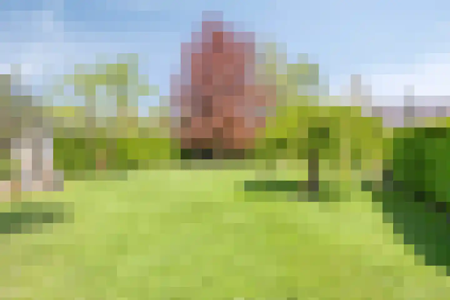 Milrooijseweg 77 Berlicum thumbnail 5