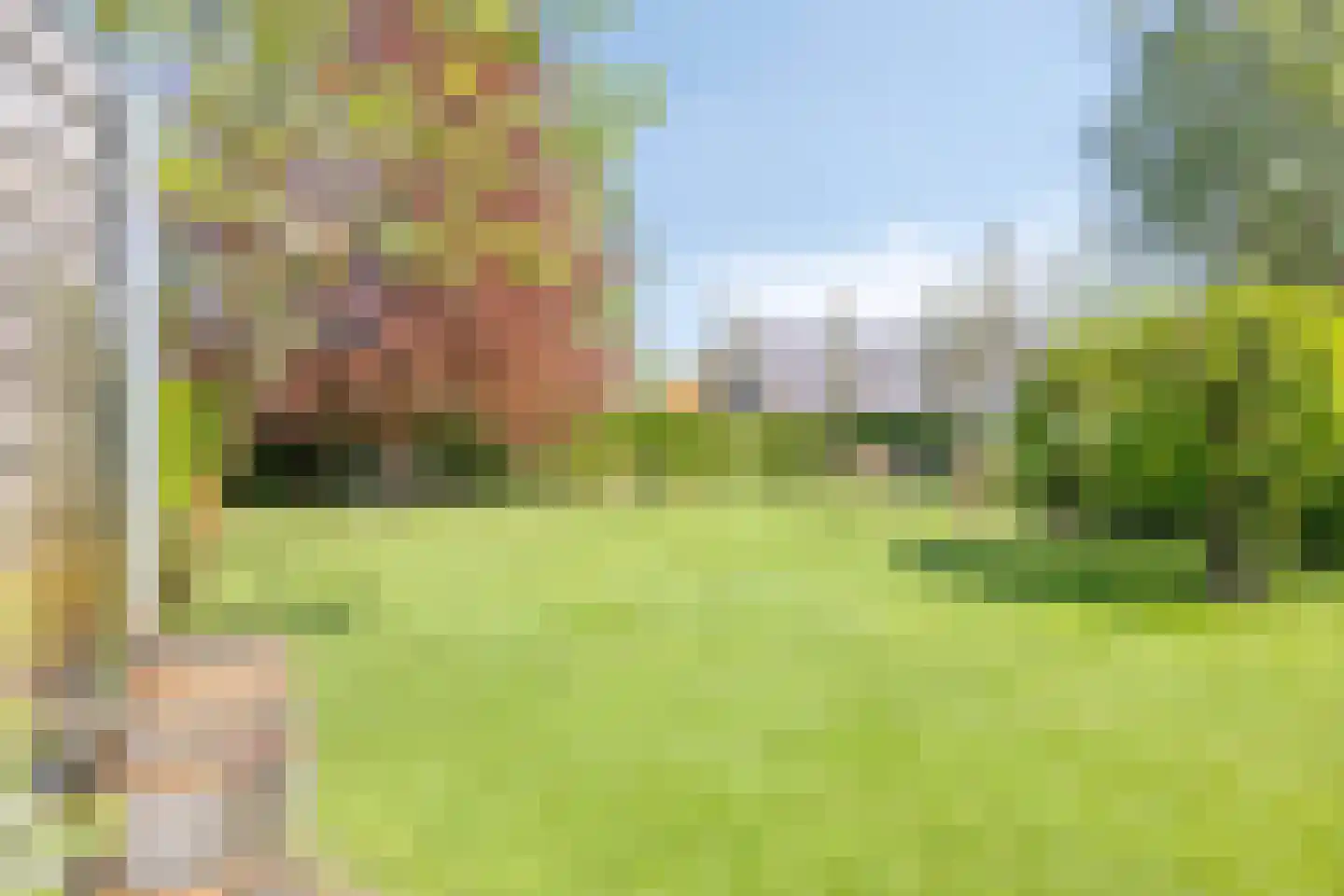 Milrooijseweg 77 Berlicum thumbnail 50