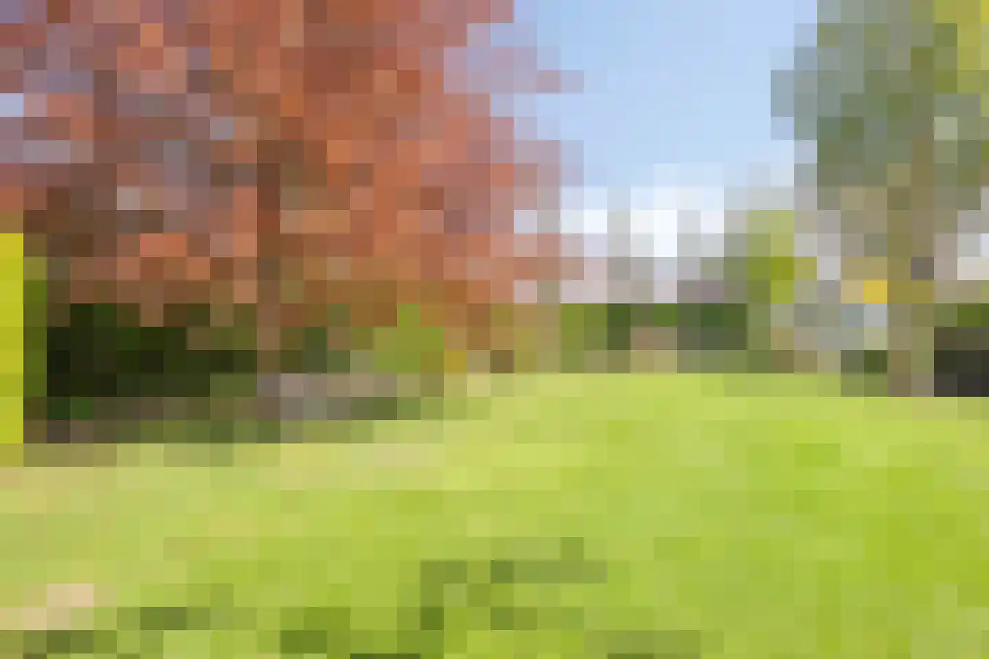 Milrooijseweg 77 Berlicum thumbnail 51