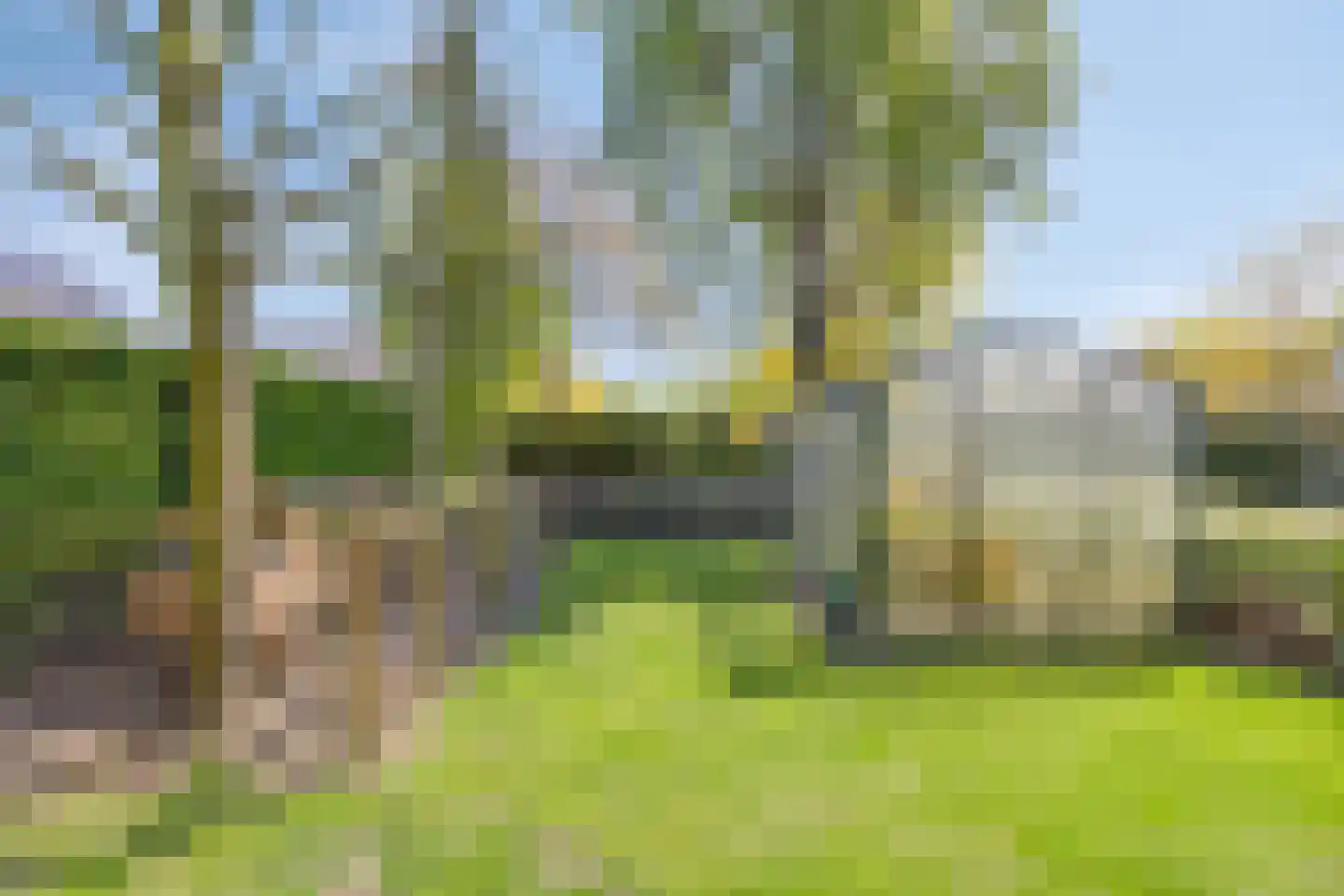 Milrooijseweg 77 Berlicum thumbnail 53