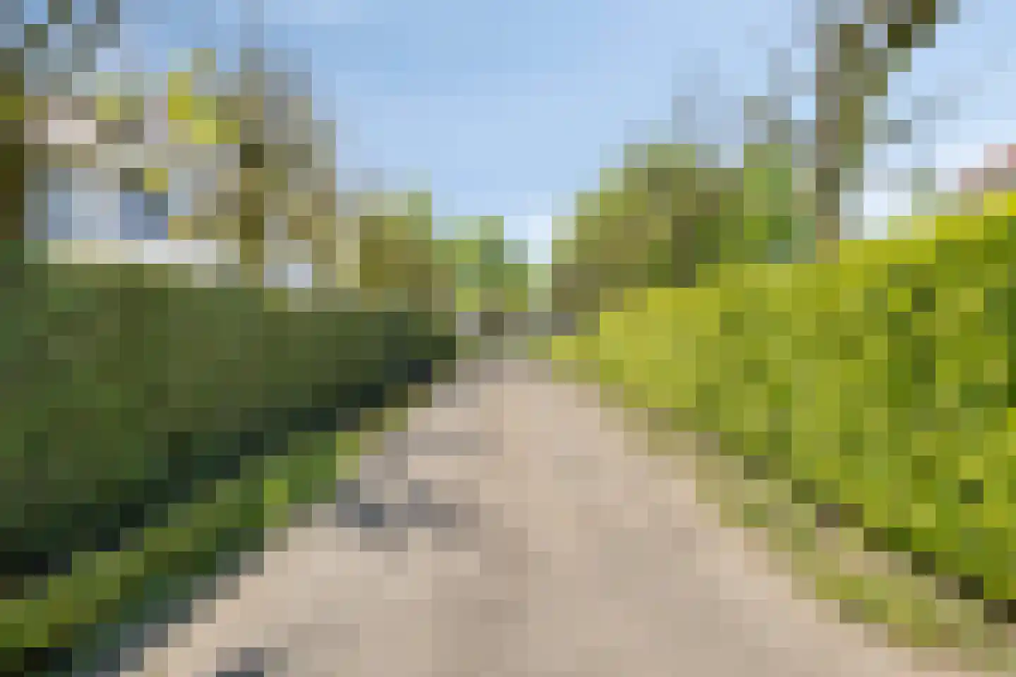 Milrooijseweg 77 Berlicum thumbnail 55