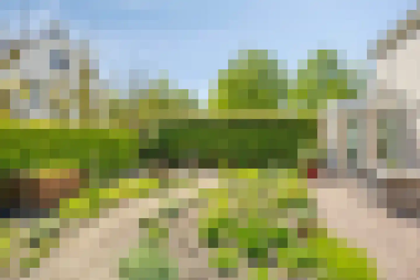 Milrooijseweg 77 Berlicum thumbnail 58